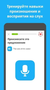 Приложение для изучения языков