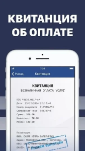 Проверка штрафа по номеру авто