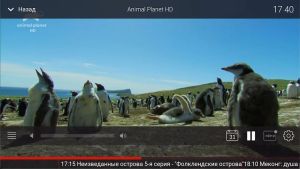 ТВ-программы, фильмы и сериалы
