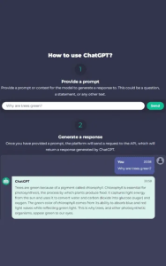 Chat GPT